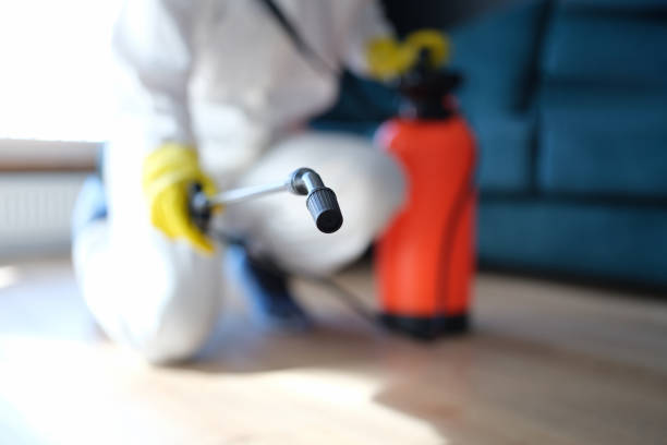 Best Post-Construction Mold Inspection  in Windsor, NC